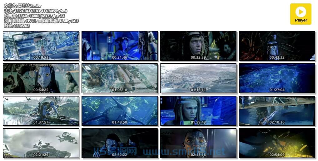 [电影] 阿凡达2：水之道 1080P 真正高清版